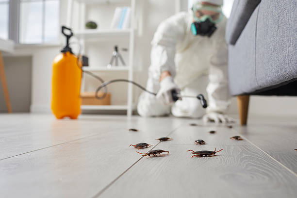 Commercial Kitchen Cockroach Control in Allison